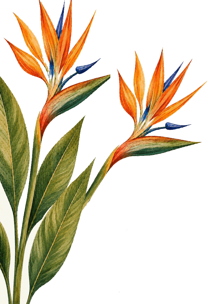Floral Decoration